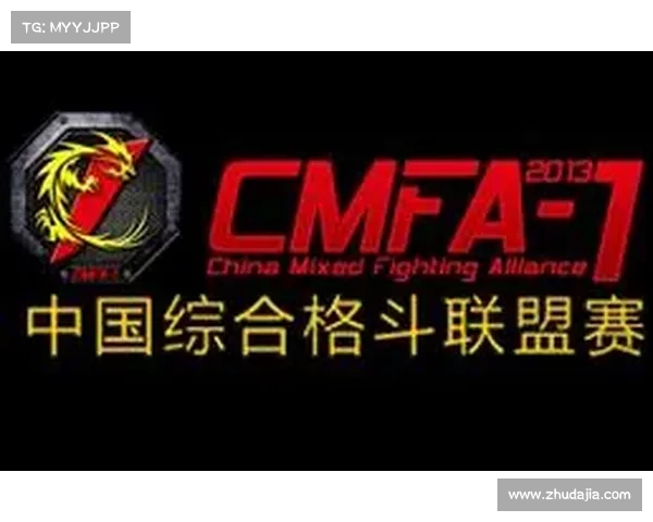 搏击赛事市场分析_中国搏击市场的现状